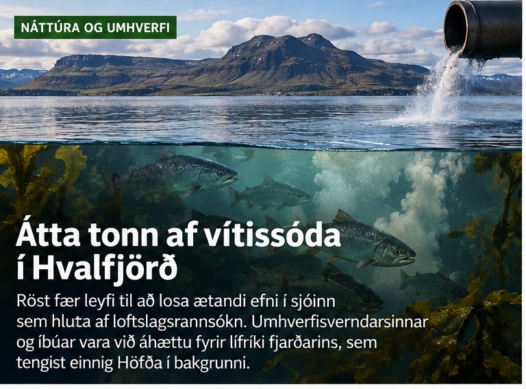 Myndskreyting við grein: Átta tonn af vítissóda í Hvalfjörð – hver tryggir öryggi lífríkisins?